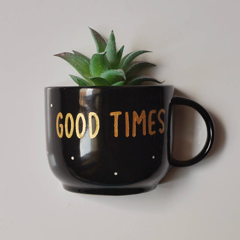 Wall Decor - Home Decor - Artificial Succulent Planter - Home Office Accessories - Personalised Gift - Black - Good Times - Buy Online India - Free Shipping
