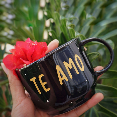 Wall Decor - Home Decor - Artificial Succulent Holder - Home Office Decor - Study Room Decor - Dining Room Decor - Personalised Love Gift and Decor - -Black - Buy Online India - Free Shipping