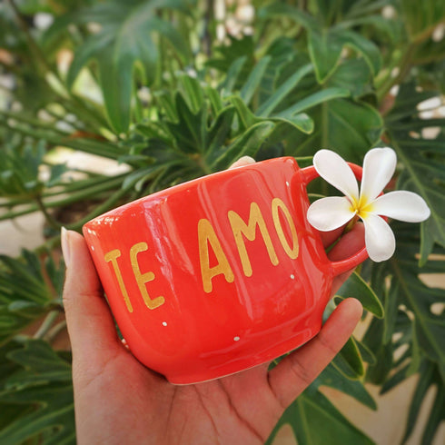 Wall Decor - Home Decor - Artificial Succulent Holder - Home Office Decor - Study Room Decor - Dining Room Decor - Personalised Love Gift and Decor - Buy Online India - Free Shipping