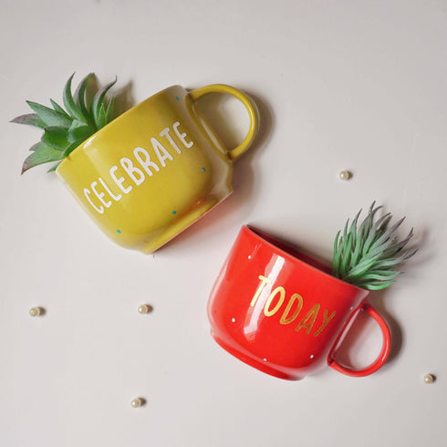 Wall Decor - Celebrate Home Decor - Artificial Succulent Holder Set - Cheerful Wall Vase - Home Office Decor - Study Room Decor - Dining Room Decor - Personalised Gift - Buy Online - Free Shipping India