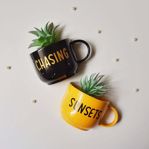 Wall Decor - Wanderlusting Home Decor - Artificial Succulent Holder Set - Wall Vase - Home Office Decor - Study Room Decor - Dining Room Decor - Personalised Gift - Buy Online - Free Shipping India