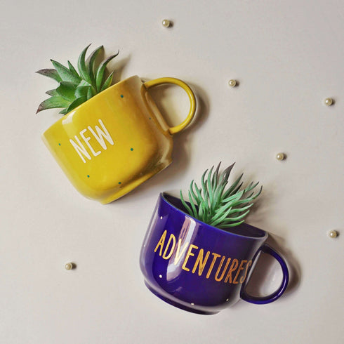 Wall Decor - New Adventures Quirky Home Decor - Artificial Succulent Holder Set - Wall Vase - Home Office Decor - Study Room Decor - Dining Room Decor - Personalised Gift - Buy Online - Free Shipping India