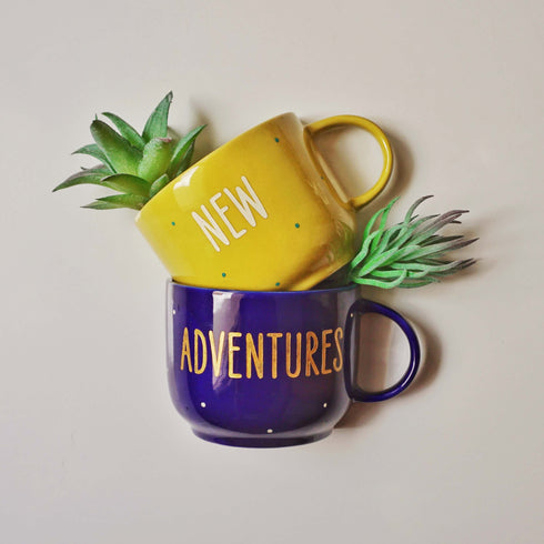 Wall Decor - New Adventures Home Decor - Artificial Succulent Holder Set - Wall Vase - Home Office Decor - Study Room Decor - Dining Room Decor - Personalised Gift - Buy Online - Free Shipping India