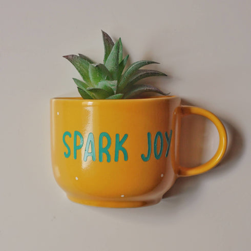 Wall Decor - Joy Home Decor - Artificial Succulent Planter - Office Accessories - Personalised Gifts - Buy Online India - Free Shipping