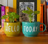 Hello Today Wall Planters - Mug Planters - Wall Garden Decor - Balcony Decor - Small Planters - Cup Shaped Pot - Plant Lover Gift - Buy Online India - Free Shipping