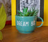 Dream Big Cup Planters - Affirmation Mug Planters - Wall Garden Decor - Balcony Decor - Succulent Planter - Small Pot - Plant Lover Gifts - Desk Decor - Buy Online India - Free Shipping
