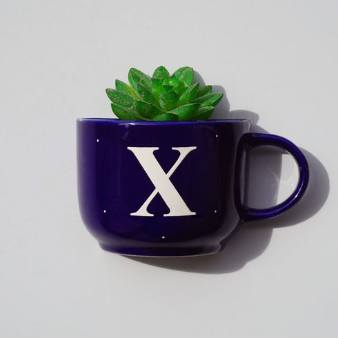 Monogram Cup Planters | Table Accessories | Personalised Gift | Wall Decor