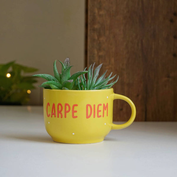 Carpe Diem Office Decor - Home Decor - Artificial Succulent Planter - Study Room Decor - Personalised Love Gift - Yellow - Buy Online India - Free Shipping