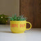 Carpe Diem Office Decor - Home Decor - Artificial Succulent Planter - Study Room Decor - Personalised Love Gift - Yellow - Buy Online India - Free Shipping