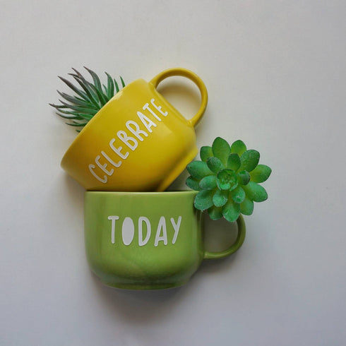 Celebrate Today - Cup Planters - Small Pot - Home Office Accessories - Study Room Decor - Personalised Gifts - Buy Online India - Free Shipping