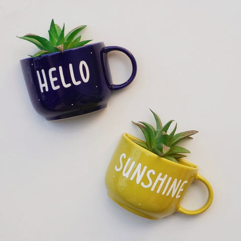 Hello Sunshine | Ceramic Wall Planter | Table Accessory | Personalised Gift | Home Decor
