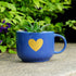 Heart Planter on Wall | Cup Planters on Table | Gift Planters | Home Decor