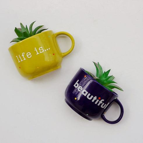 Life is Beautiful | Ceramic Wall Planter | Table Accessory | Personalised Gift | Home Decor