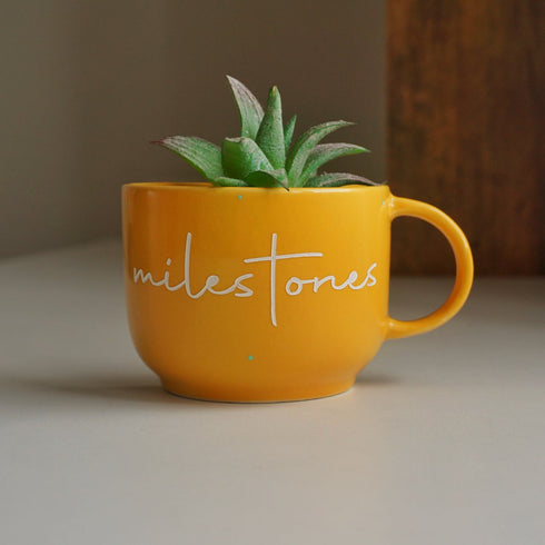 Milestones | Ceramic Wall Planter | Table Accessory | Personalised Gift | Home Decor